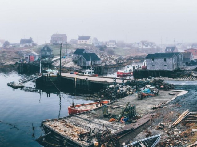 泉州市石油化工与新材料、新能源产业小组到泉港调研